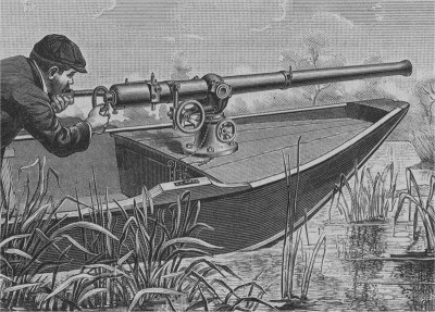 Huge guns -- cannon, really -- were mounted on the bows of punt boats. One well-aimed shot could bring down hundreds of egrets, pelicans and other birds, whose plumage then decorated womens hats. Photo: N.C. Division of Archives and History