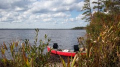 catfish lake