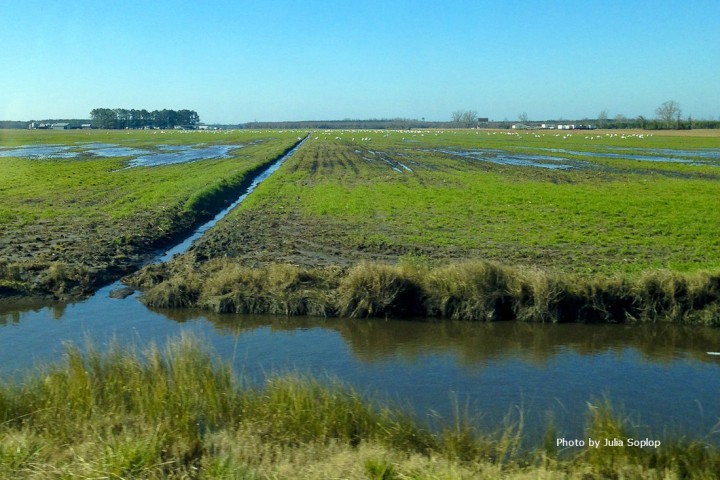 study looks to locals on saltwater intrusion coastal review online saltwater intrusion