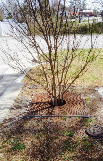 These basins contain filters that are supposed to capture and treat runoff, but they haven't been well maintained. Photo: Brad Rich