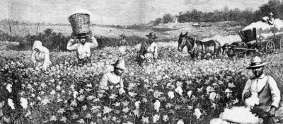 The introduction of slavery in the American South brought with it a particularly deadly strain of malaria. Illustration: Library of Congress
