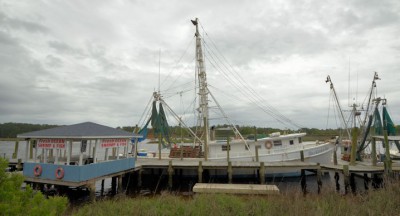 Shrimp boats tie up behind the Captain Nance restaurant in Calabash wher Donna Nance Morgan said she hadn’t heard about the prospect of drilling of the N.C. coast, but she would like to know how it might affect the price of seafood. Photo: Tess Malenjanovsky