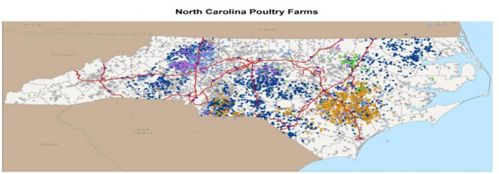 N.C. Department of Agriculture and Consumer Services map of poultry farms in North Carolina. Colored dots represent commercial farms, grey dots represent backyard flocks. Map: NCDACS