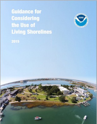 The National Oceanic and Atmospheric Administration’s “Guidance for Considering the Use of Living Shorelines” explains benefits of natural shoreline stabilization projects. Photo: NOAA