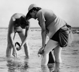 Rachel Carson, left, collects samples along the Atlantic coast. Photo: U.S. Fish and Wildlife Service