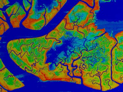 An aerial image with false colors that show marsh elevations in the Venice Lagoon.Photo: Marco Marani, Duke University