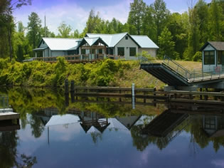 wn_dismalswamp