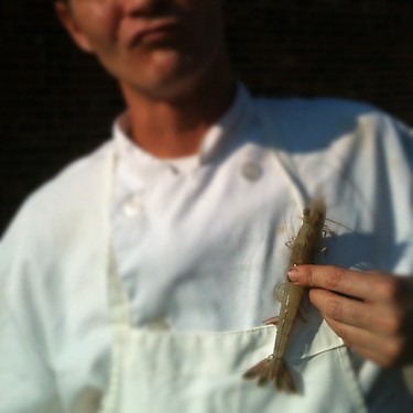 McKnight shows off a single, jumbo shrimp netted off North Carolina. “I will always be the proponent for N.C. seafood,” he says, “because I think it’s so much better than anywhere else on the East Coast.” Photo: Kyle Lee McKnight