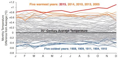 Global temperature anomalies plotted by month from 1880 to 2015. Each year is represented by a single line. Blue lines are the five coldest years, and orange lines are the second- through fifth-warmest years. The warmest year—2015—is shown in red. Data for graph from NOAA.