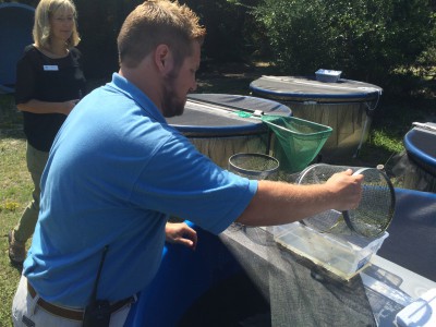 Fort Fisher Aquarium Director Peggy Sloan and Nate Akers check for metamorphs at the aquarium’s outdoor tanks last summer. Photo: Mark Hibbs