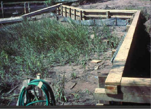 The marsh in front of this new bulkhead will eventually be destroyed. Photo: N.C. Coastal Federation