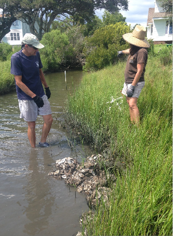 Sam Bland, left, and Lexia Weaver install a living shoreline of oyster shells. Photo: N.C. Coastal Federation
