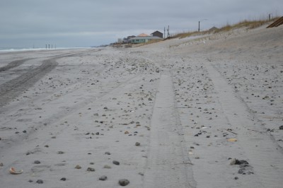 Wildlife officials say large concentrations of rocks still pepper the beach on and below the sandy surface above the high-tide line. Photo: Mike Giles