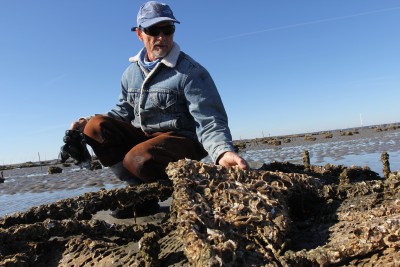 Niels Lindquist holds up a block of his fast-growing oysters behind the UNC Institute of Marine Sciences. Photo: Mary Lide Parker/UNC Research