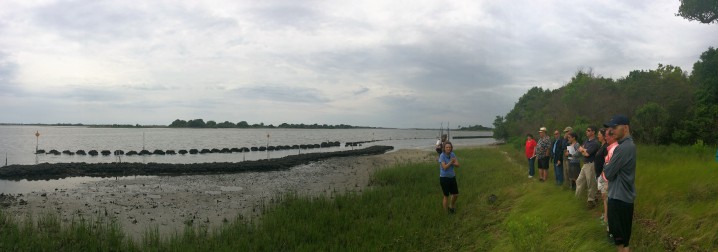 North Carolina Coastal Federation scientist Tracy Skrabal leads a group on a tour of the restored marsh and oyster sills that together make up a living shoreline at Morris Landing in Onslow County. Photo: Mark Hibbs