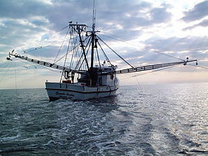 Spectrum would communicate with commercial and recreation fishermen to coordinate fishing activities with testing. Photo" Wikipedia