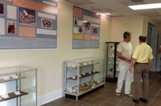 New information and artifacts have been displayed at the Hatteras Community Building. Photo: Croatoan Archaeology Society