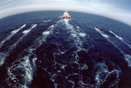 A ship trails an array of seismic air guns. Critics worry that the sound from the guns could harn fish. Photo: Ocean Conservation Research