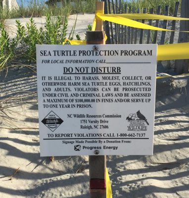 When a turtle nest is located, it is marked and a sign warning people not to disturb the area is placed on it.