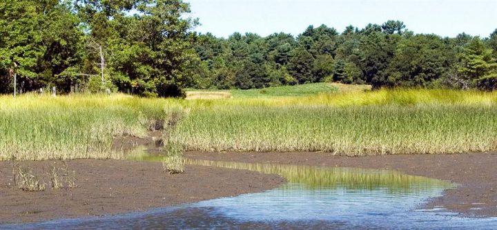 Final WOTUS Replacement Rule Published - Coastal Review Online
