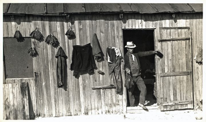 An Onslow County banks fisherman is shown in this 1930s image, dressed up after returning to Brown's Island from a trip to the mainland the previous day and posing with a liquor bottle and a string of dried mullet roe. Photo: Charles Farrell, from the North Carolina State Archives in Raleigh.
