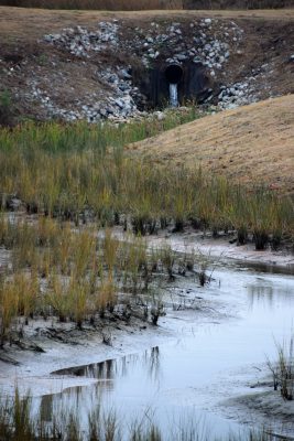 ponds 12202016