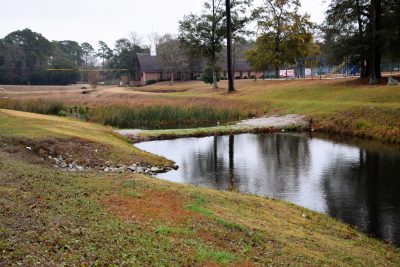 Sand and rock layers below the planted vegetation filter as much of the pollutants as possible from the collected stormwater. Photo: Mark Hibbs