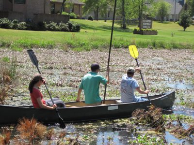 A North Carolina Coastal Federation crew sets out in a canoe prior to the restoration in April to survey the ponds, which were choked with non-native plants. Photo: North Carolina Coastal Federation