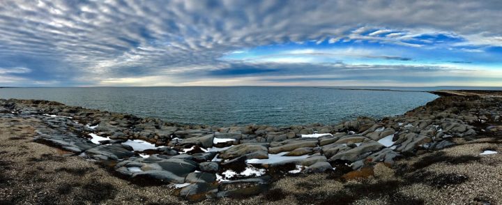 This part of Hudson Bay is usually frozen enough by mid-November for bears to venture out on the ice to hunt seals. Photo: Sam Bland