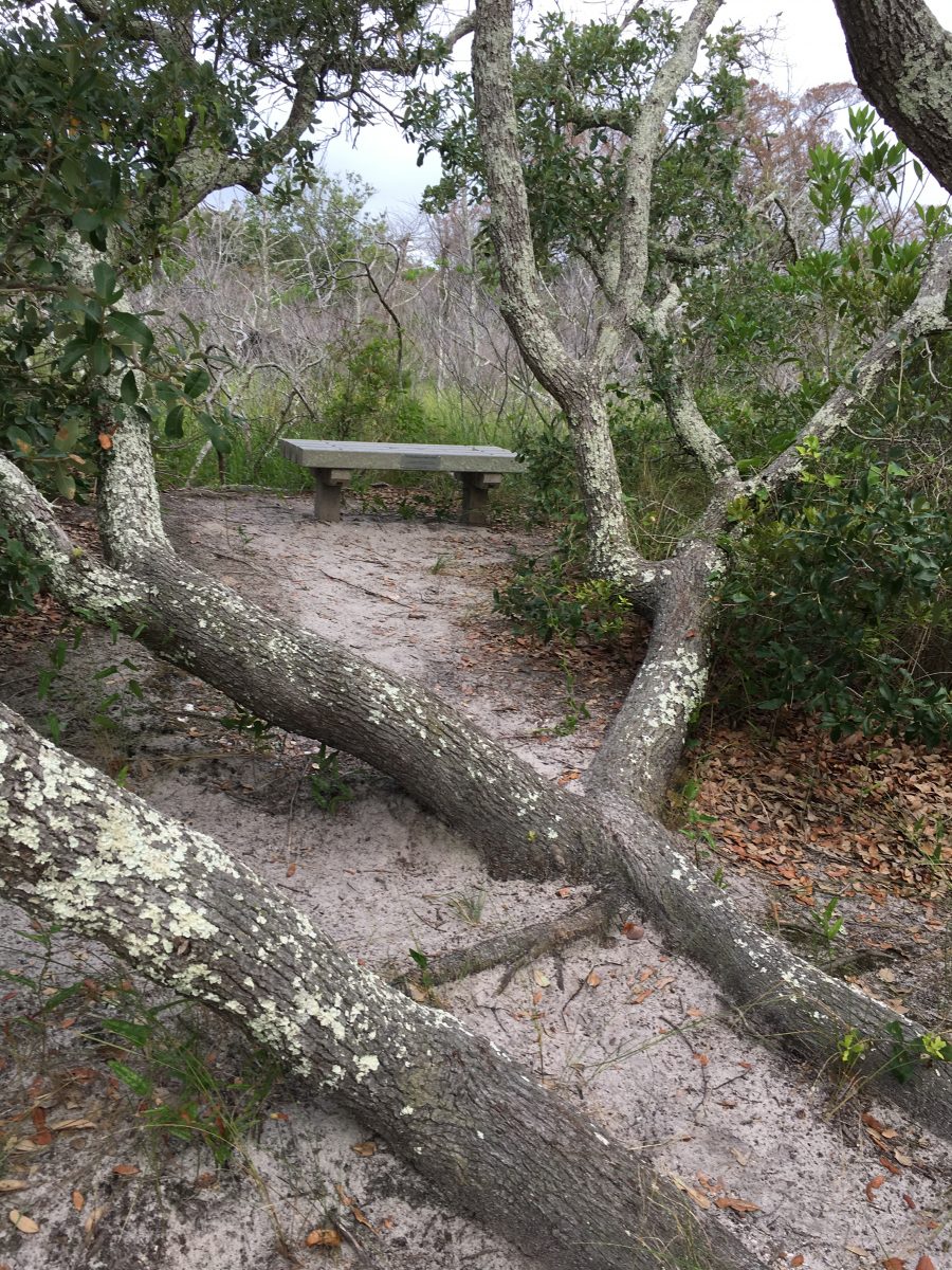 Stephenson Nature Preserve History Stephenson Nature Preserve History